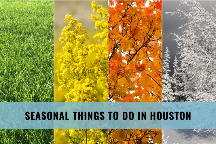 Seasonal Things to Do in Houston